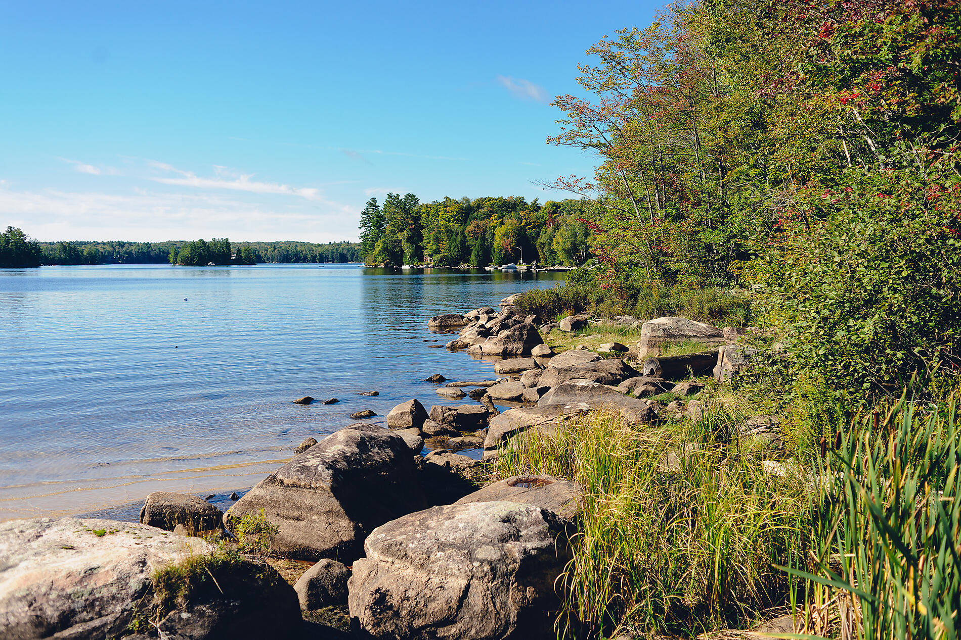 iStock-513065196.jpg
