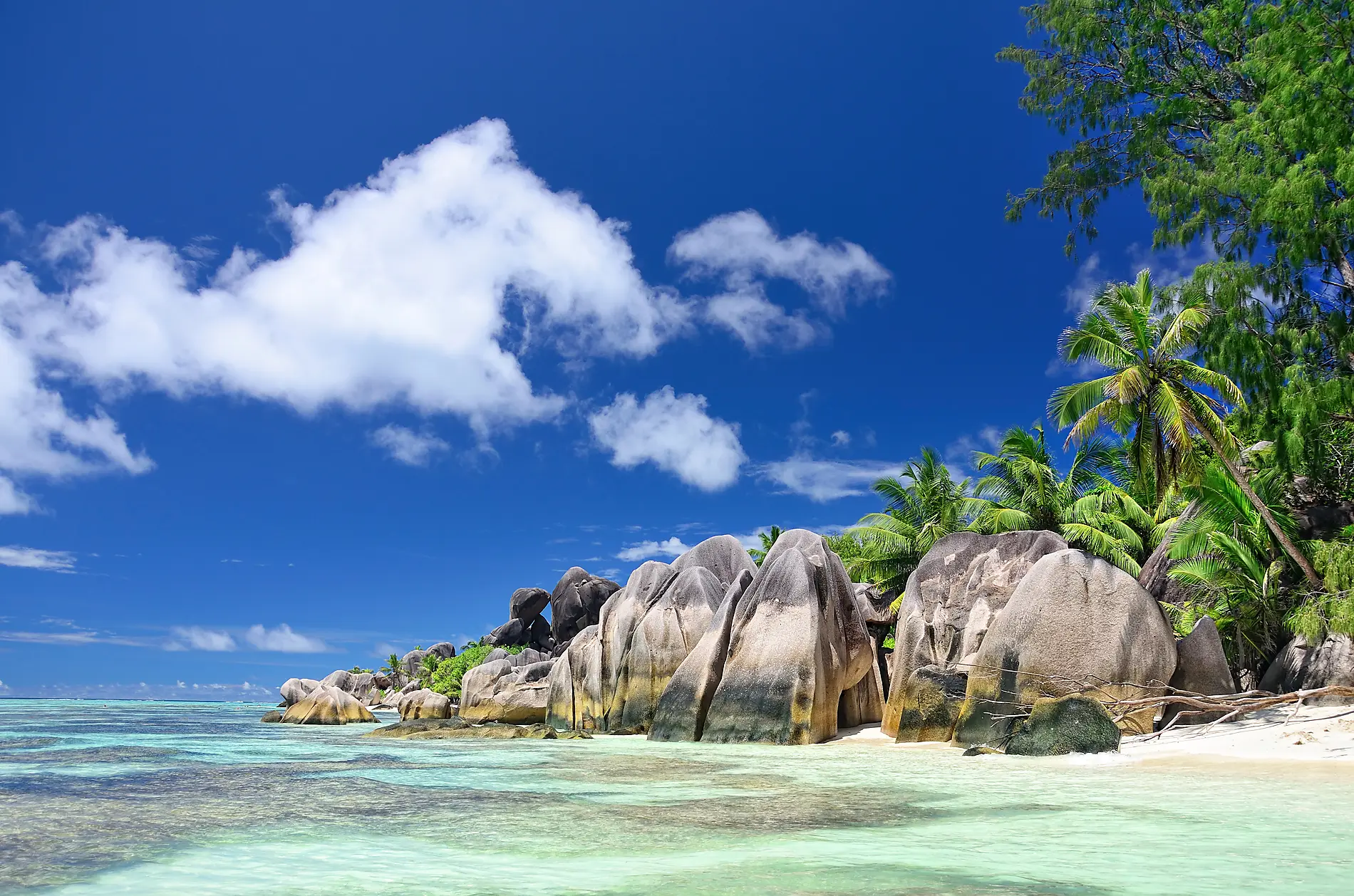 iStock_000018406868_Full.jpg