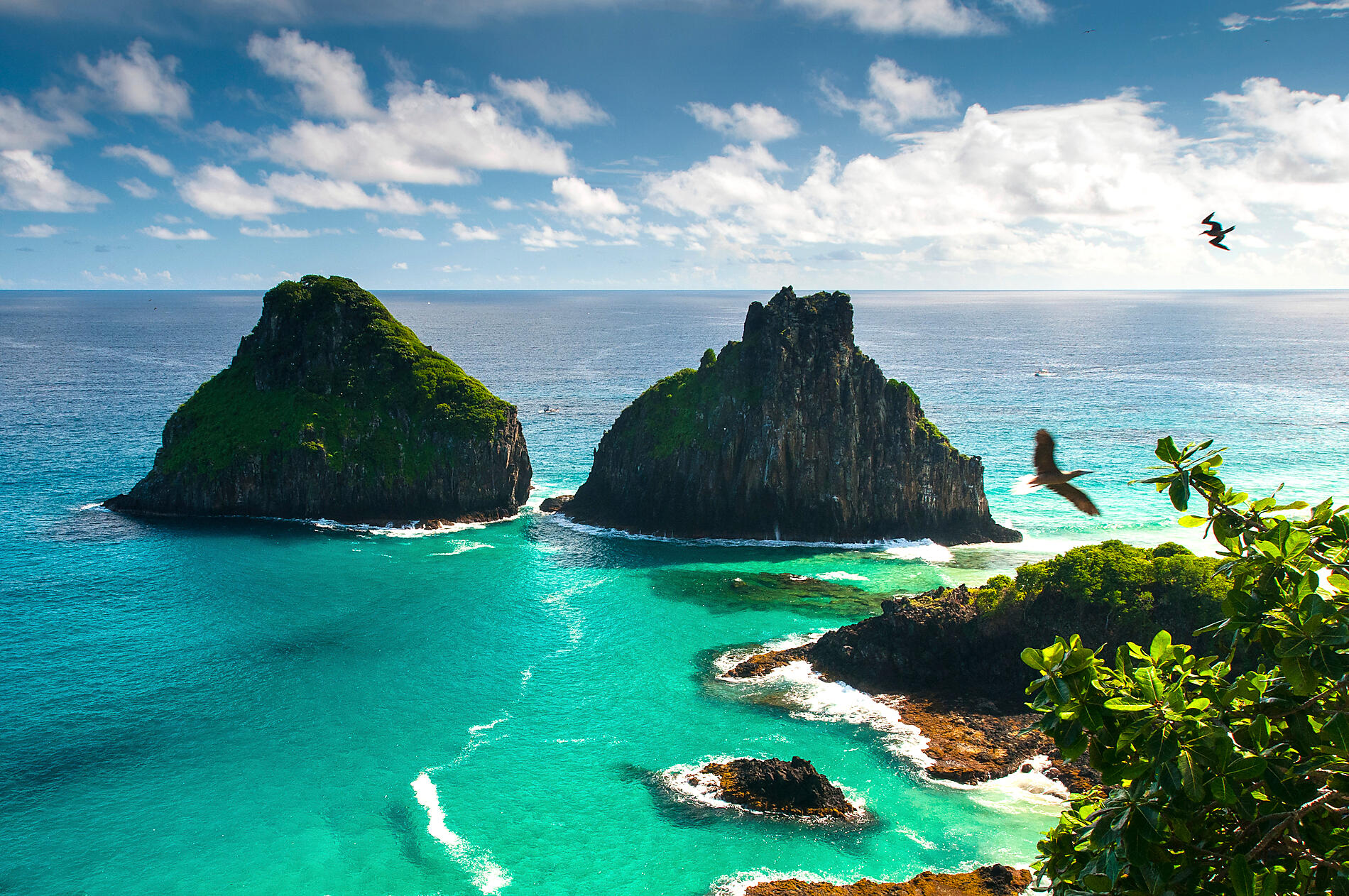 iStock_000028222294Large.jpg