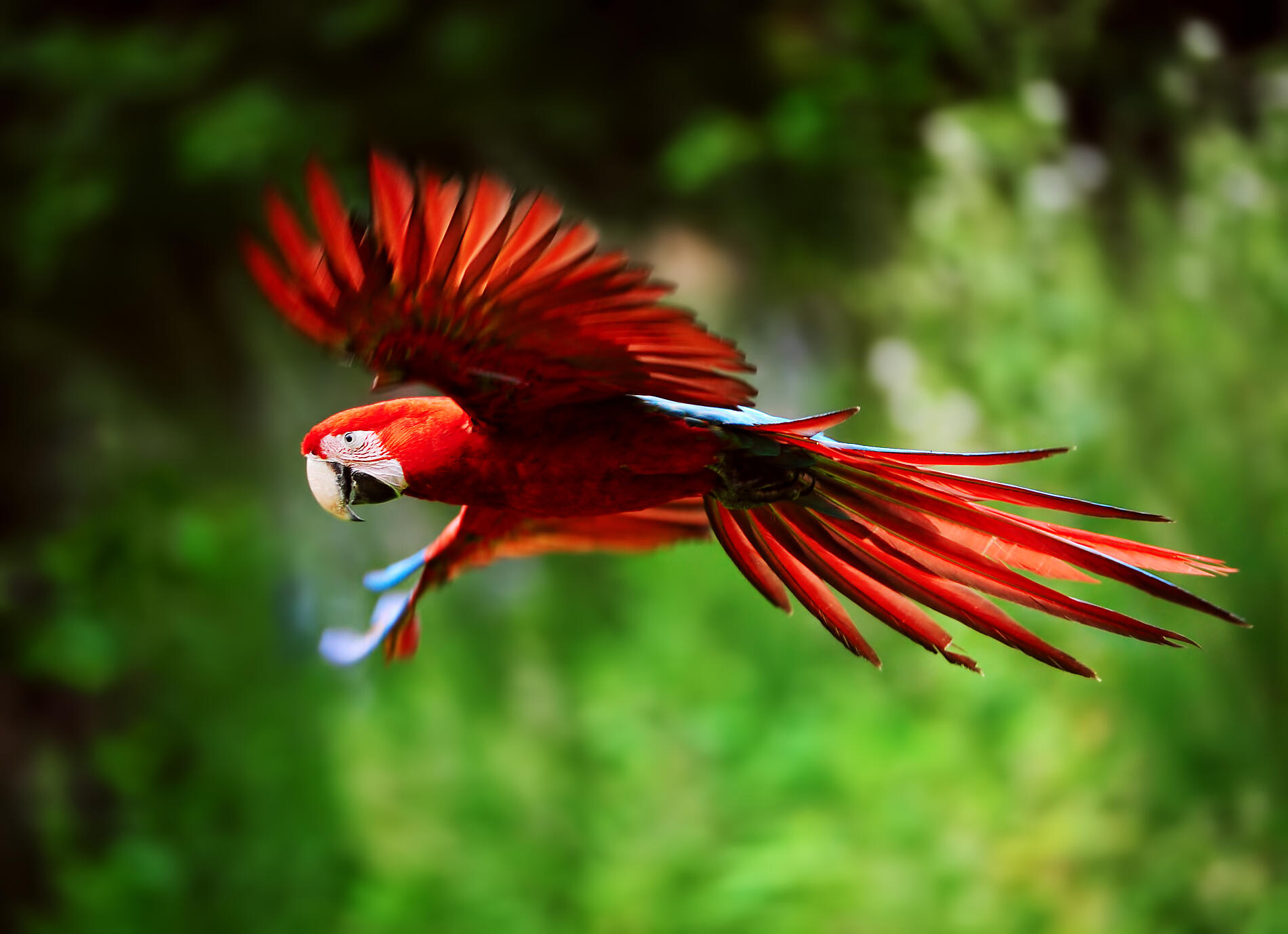 iStock-622216430.jpg