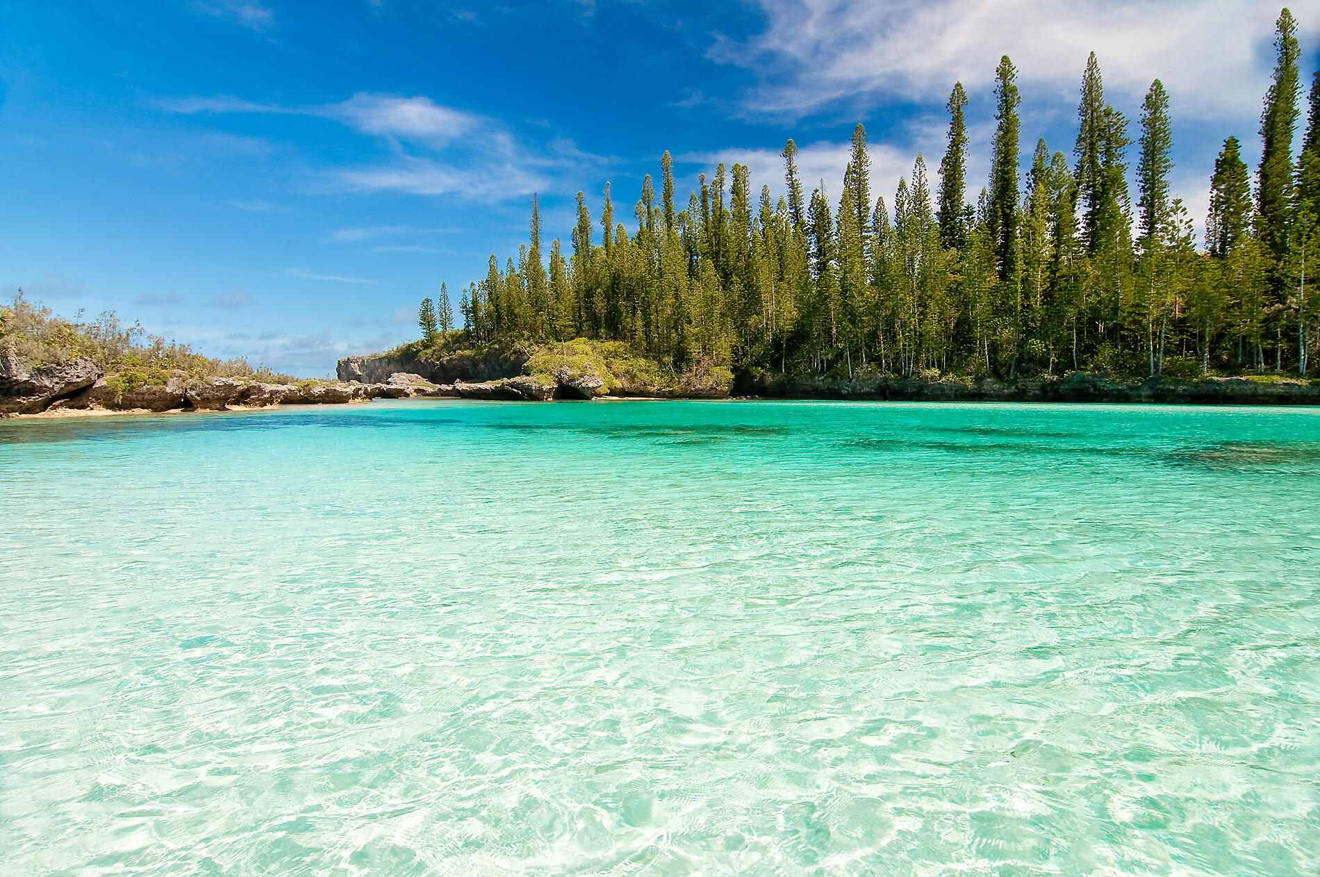 ©iStock-Delpixart-510583604_baie-dOro-Ile-des-Pins.jpg
