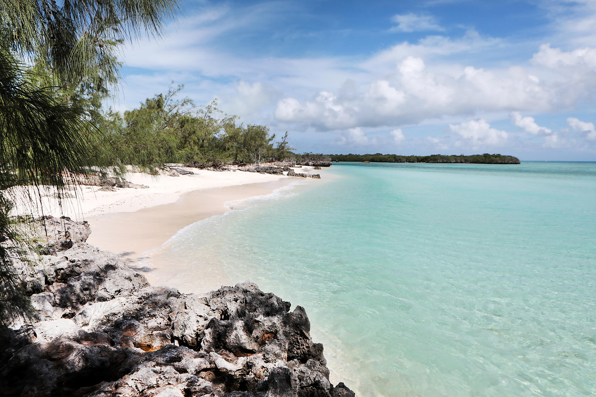 N°-2295_Y010418_Aldabra©StudioPONANT-Margot.Sib.jpg