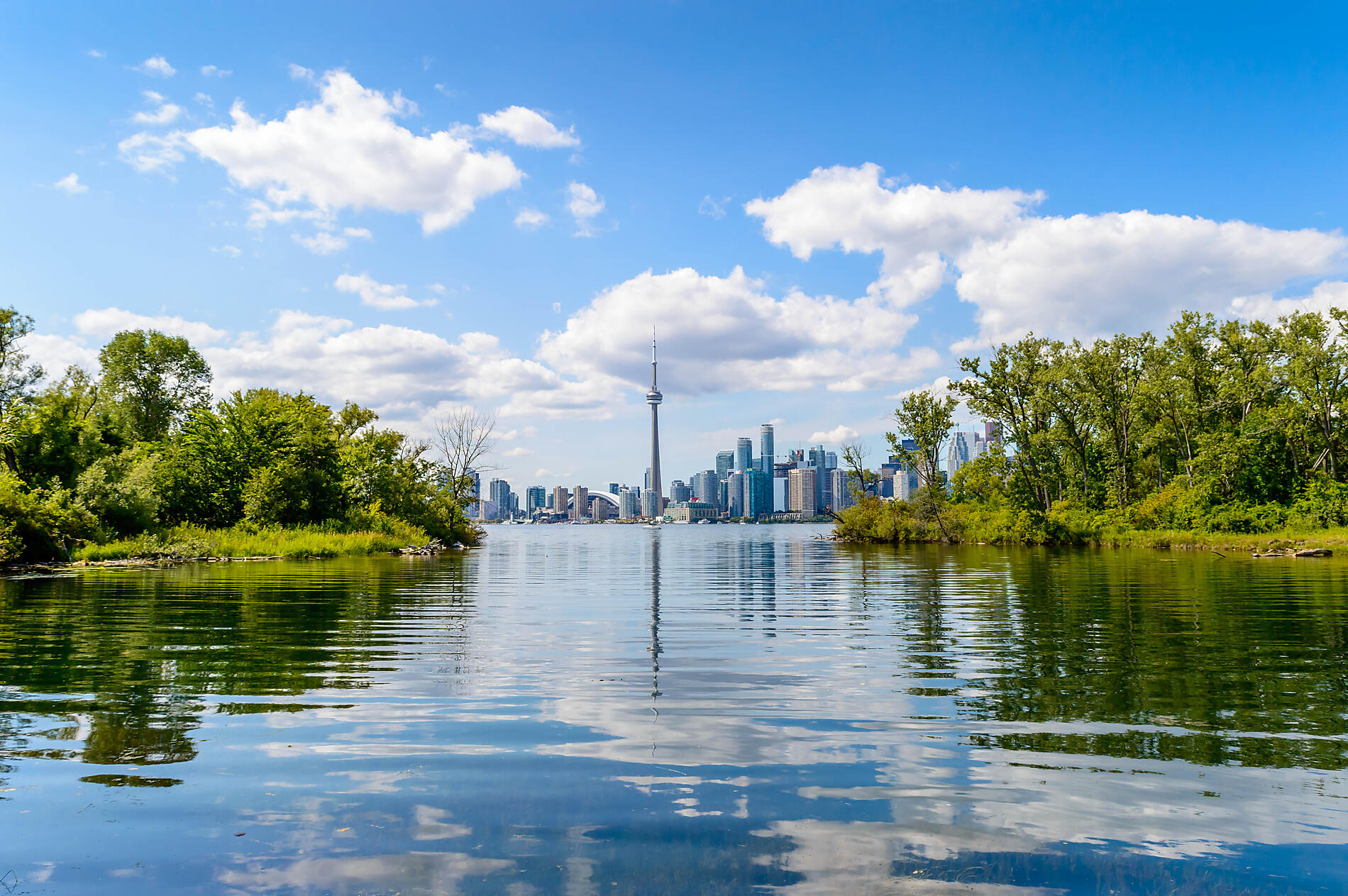 iStock-494251760.jpg