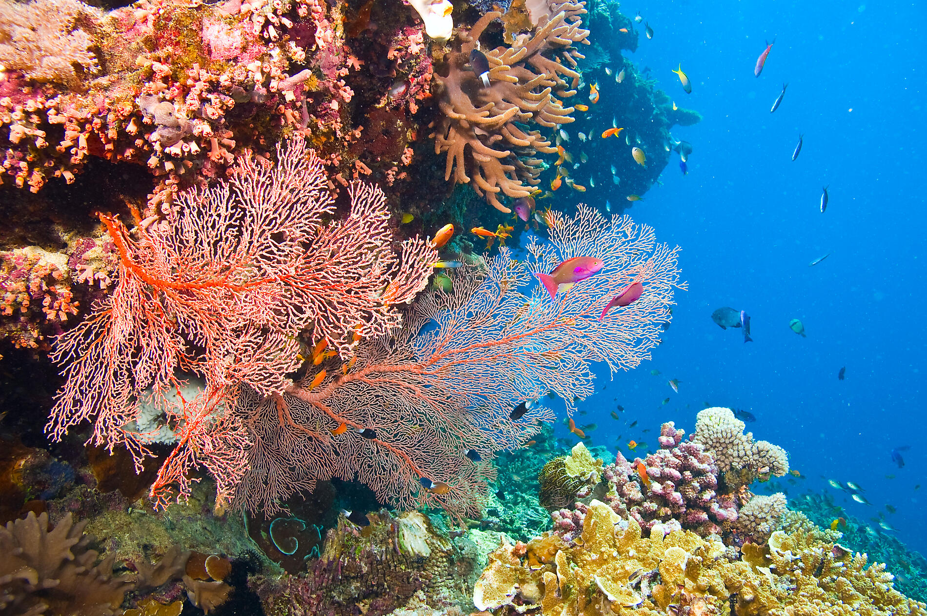 iStock_000008161979Large.jpg