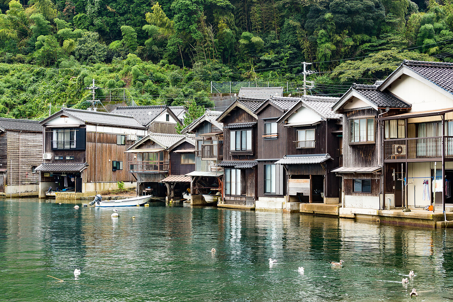 AdobeStock_158818636.jpeg