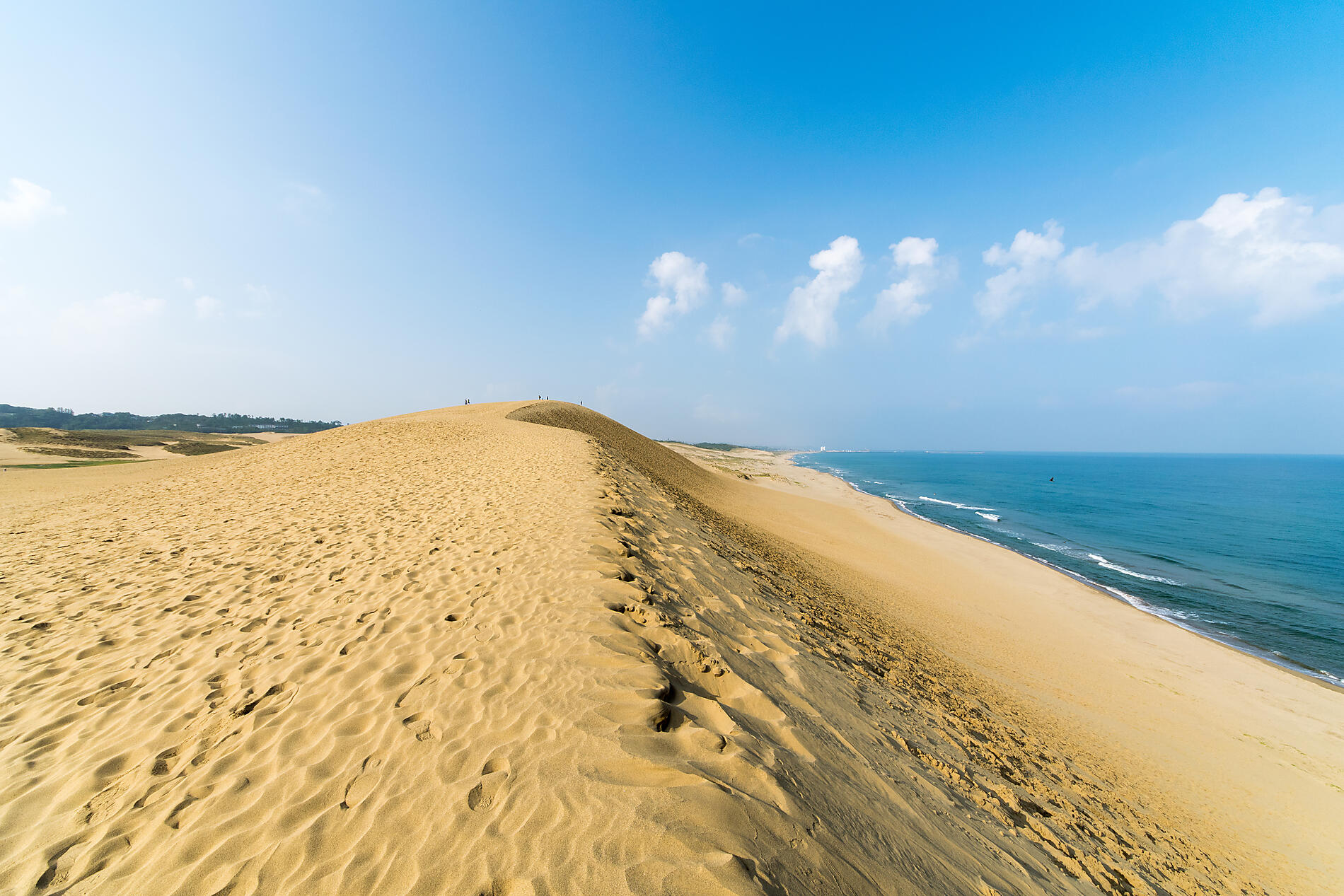 AdobeStock_195721528.jpeg