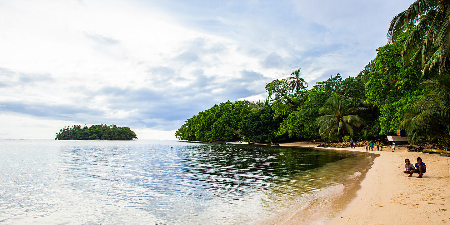 New Guinea Odyssey 