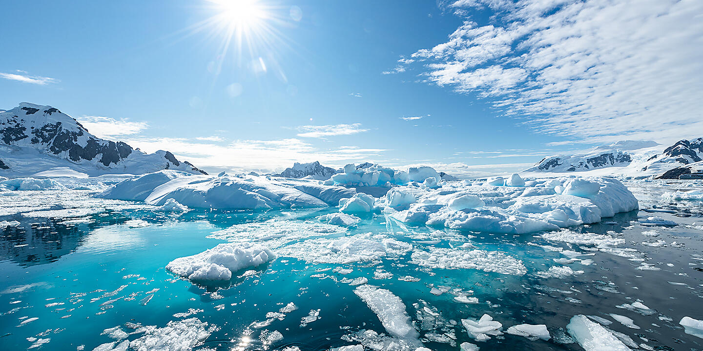 Emblematic Antarctica