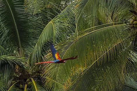 25 Dec 25 - Golfito