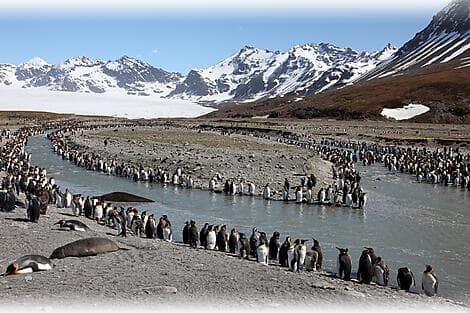 5 Mar 27 > 7 Mar 27 - South Georgia