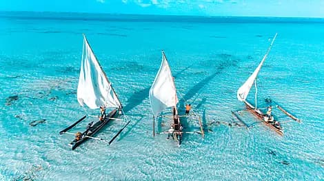 14 Feb 26 - Zanzibar