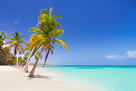 16 Jan 26 - Punta Cana