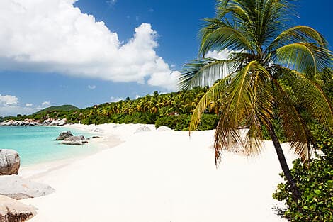 19 Jan 26 - Virgin Gorda