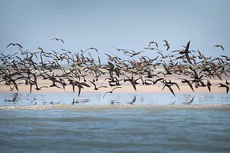 3 Aug 25 - Lacepede Islands