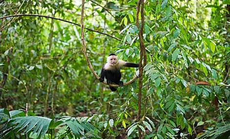 1 Jan 27 - Manuel Antonio National Park