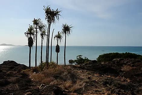 16 Dec 26 - Cape York