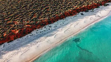 24 Aug 25 - Shark Bay World Heritage Area
