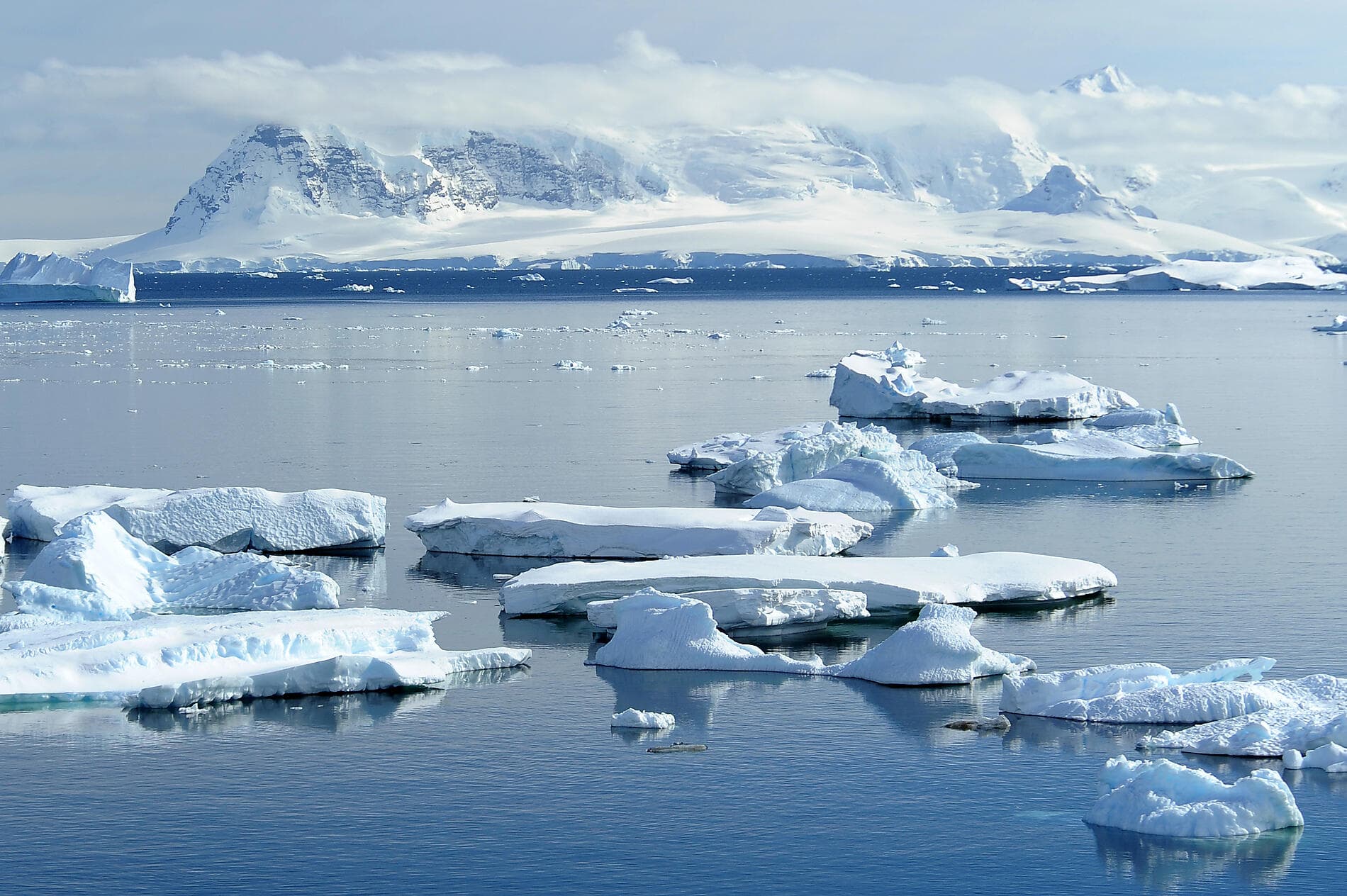 Antarctica: The White Continent – with Smithsonian Journeys Nathalie Michel