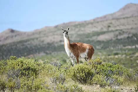13 Mar 27 - Puerto Madryn