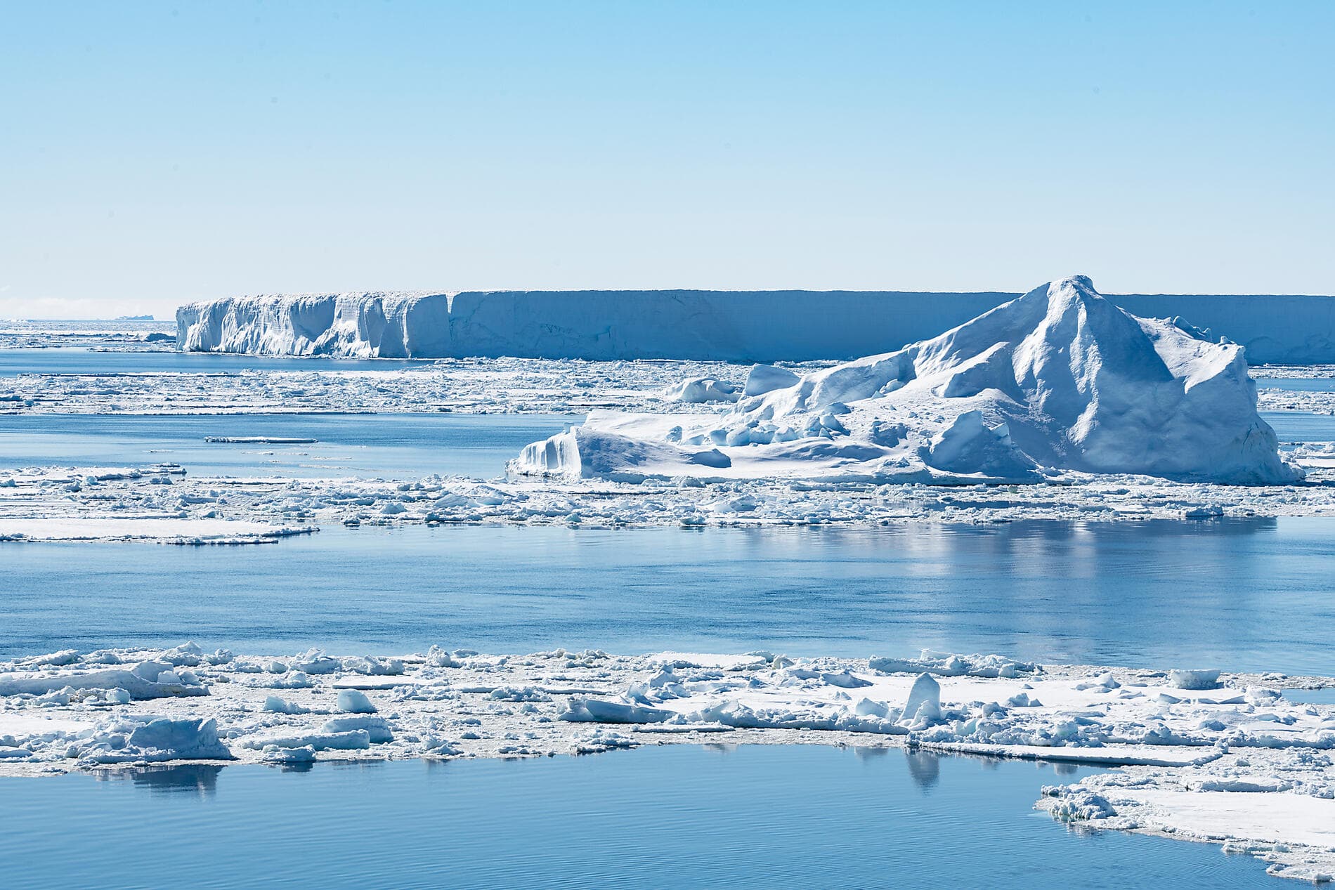 The Emperor Penguins of Weddell Sea 
