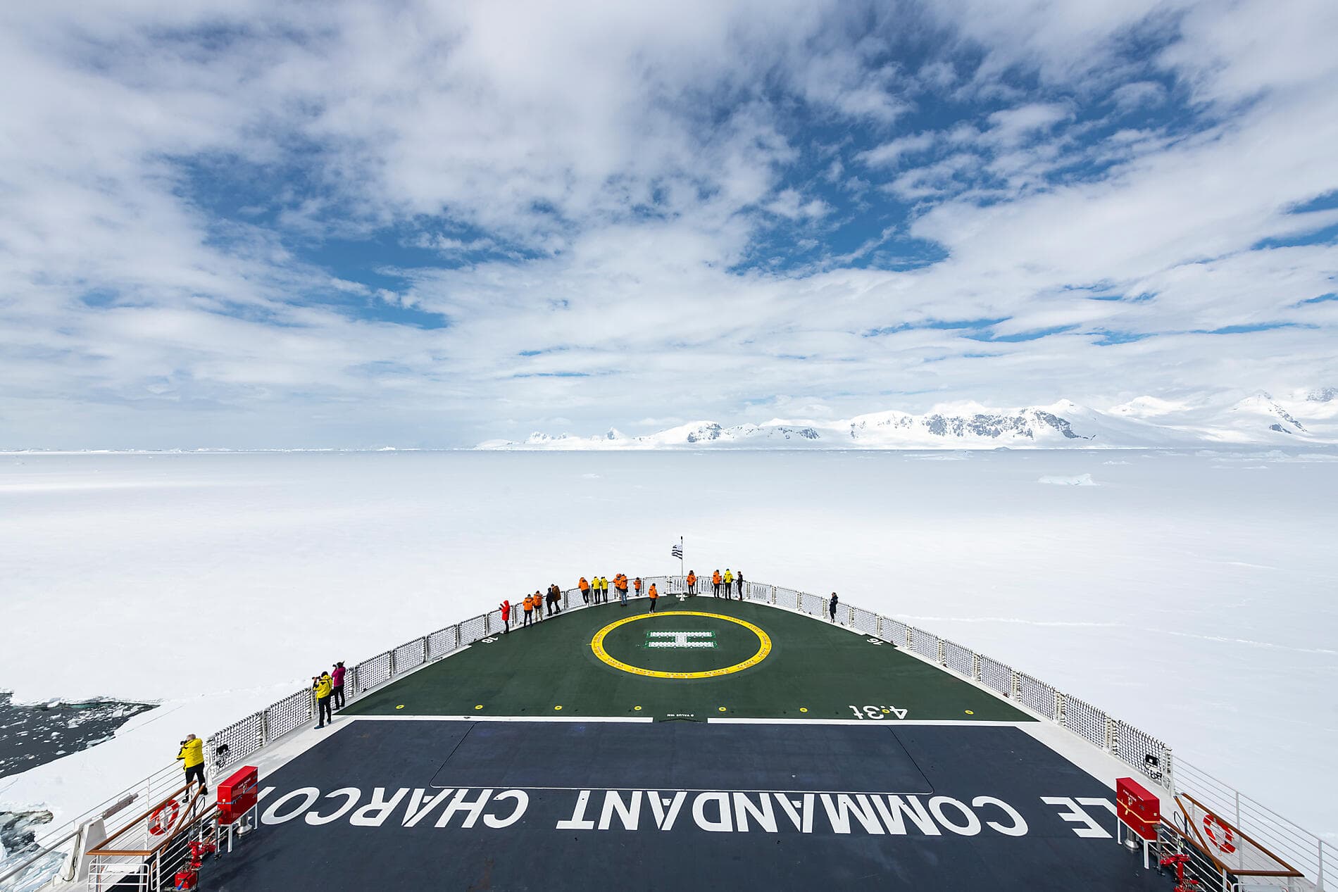The Emperor Penguins of Weddell Sea 