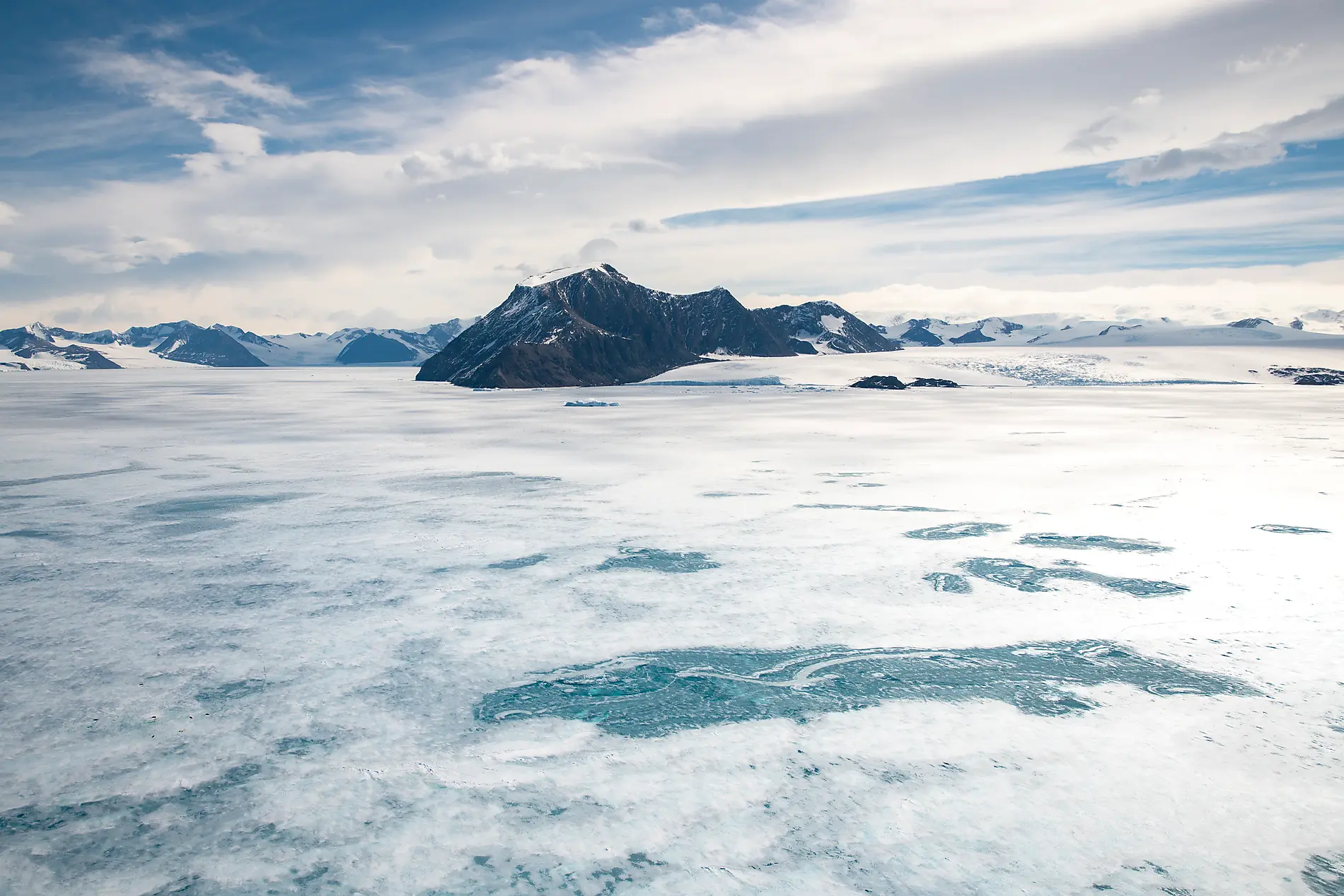 The Emperor Penguins of Weddell Sea 