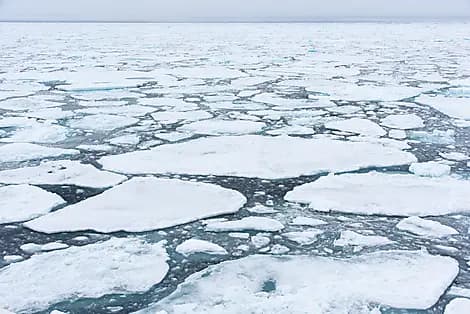 22 Sept 26 - Sailing ice floes along Greenland