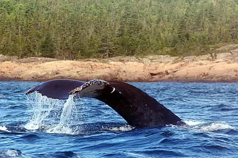 17 Sept 27 - Rigolet