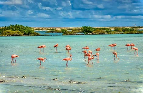 13 Apr 27 - Bonaire