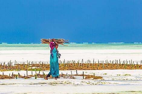 12 Feb 26 - Pemba Island