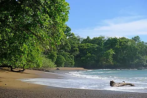 13 Mar 26 - Drake Bay