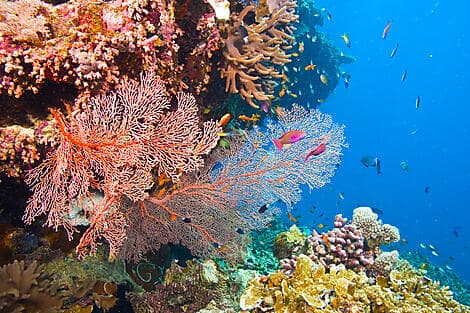 19 Jan 27 > 20 Jan 27 - Curieuse Island