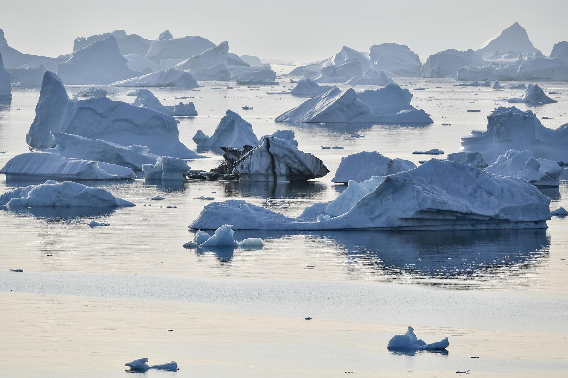 Baffin Bay secrets 
