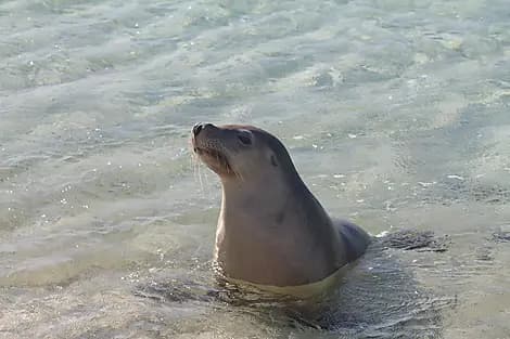 22 Aug 25 - Jurien Bay Marine Park
