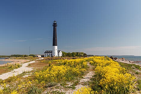 20 Aug 26 - Saaremaa