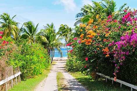 13 Jan 27 - Charlestown, Nevis
