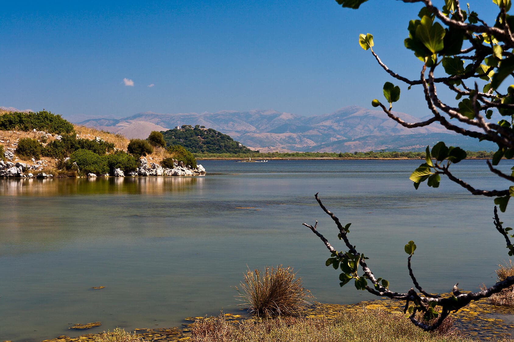 From the Adriatic to the Ionian Sea 