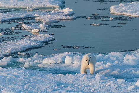 10 Sept 26 - Coningham Bay, Nunavut