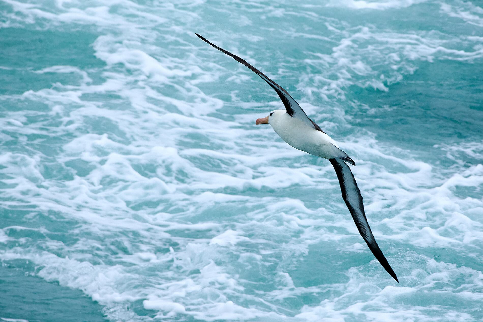 Journey to Austral Lands and Valdes Peninsula 