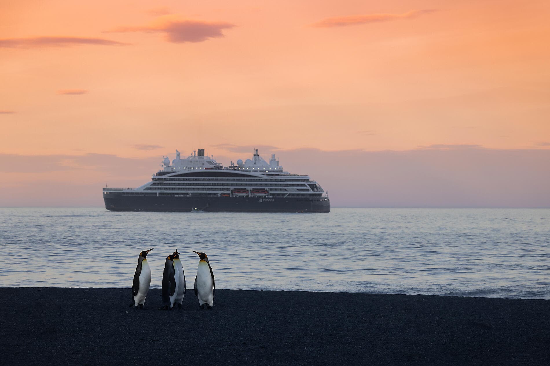 Unexplored East Antarctica & French Southern Lands 