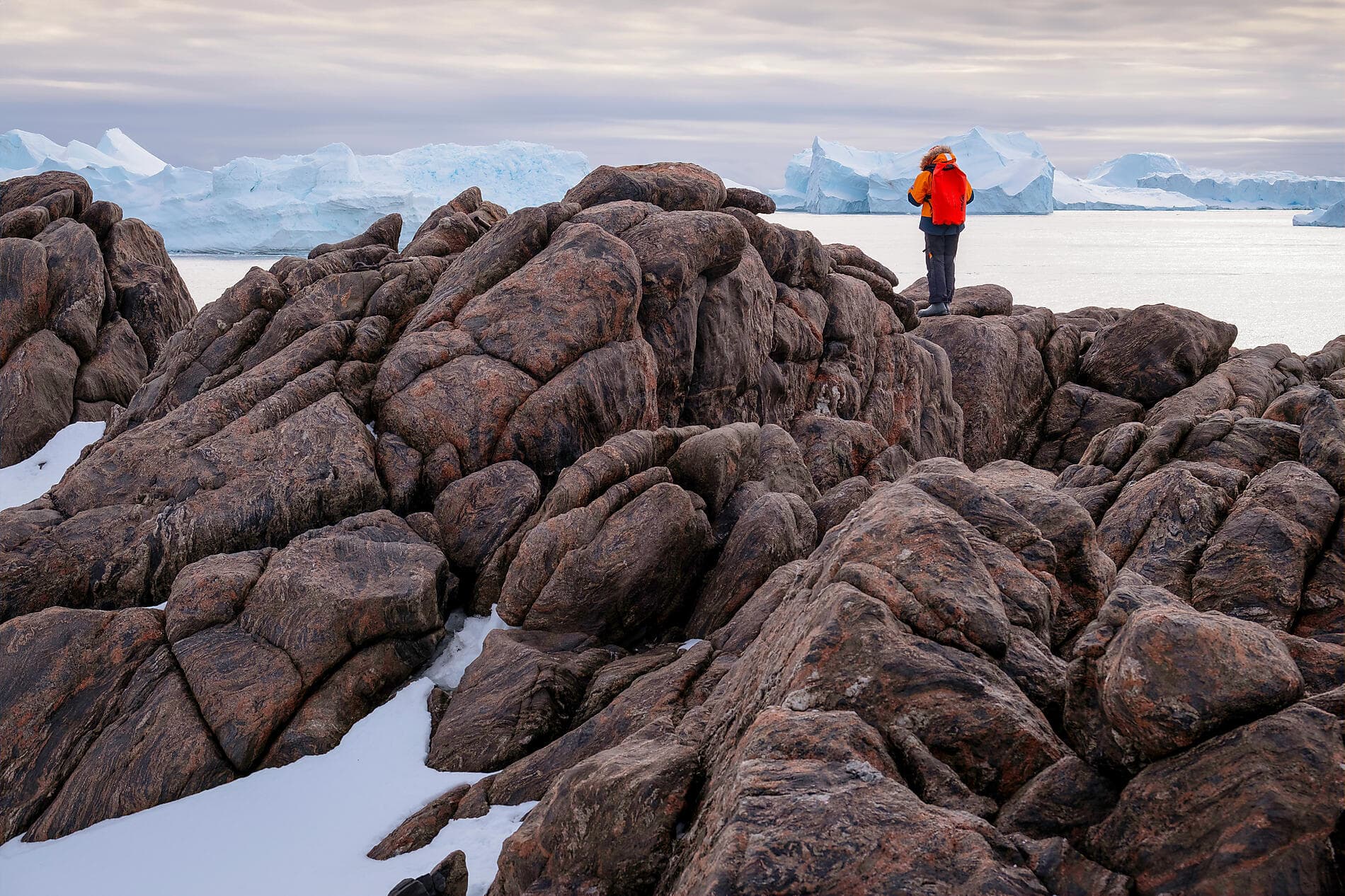 Unexplored East Antarctica & French Southern Lands 