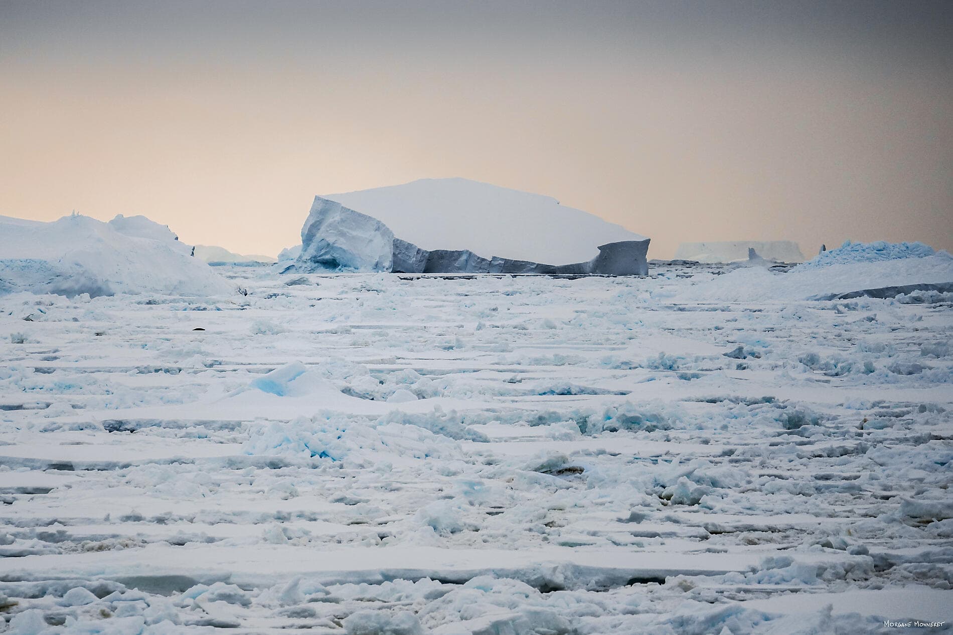 Unexplored Antarctica between Two Continents 