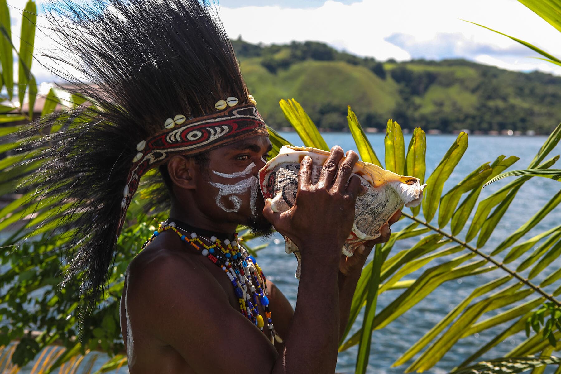 New Guinea Odyssey  