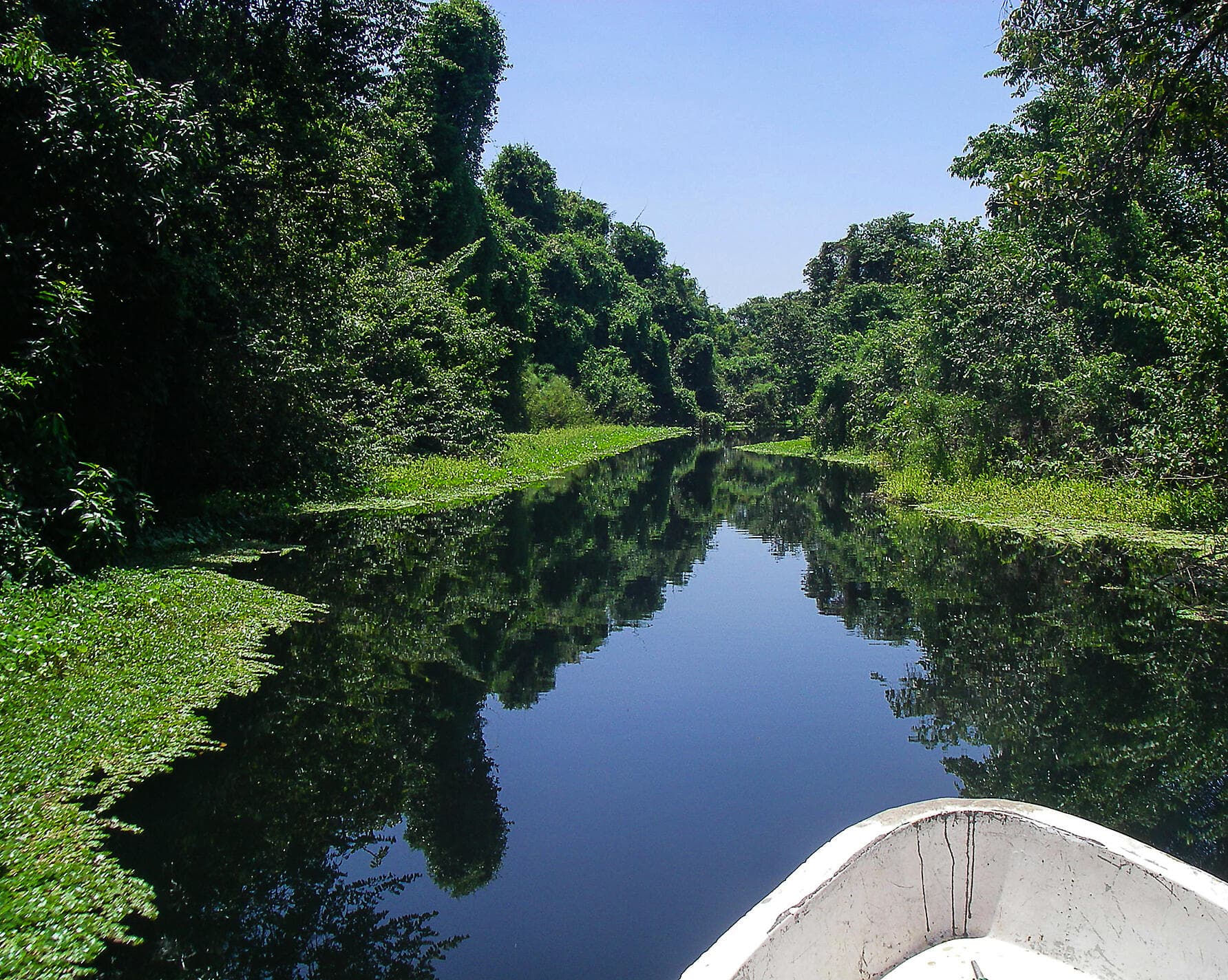 Natural sanctuaries & Caribbean encounters 