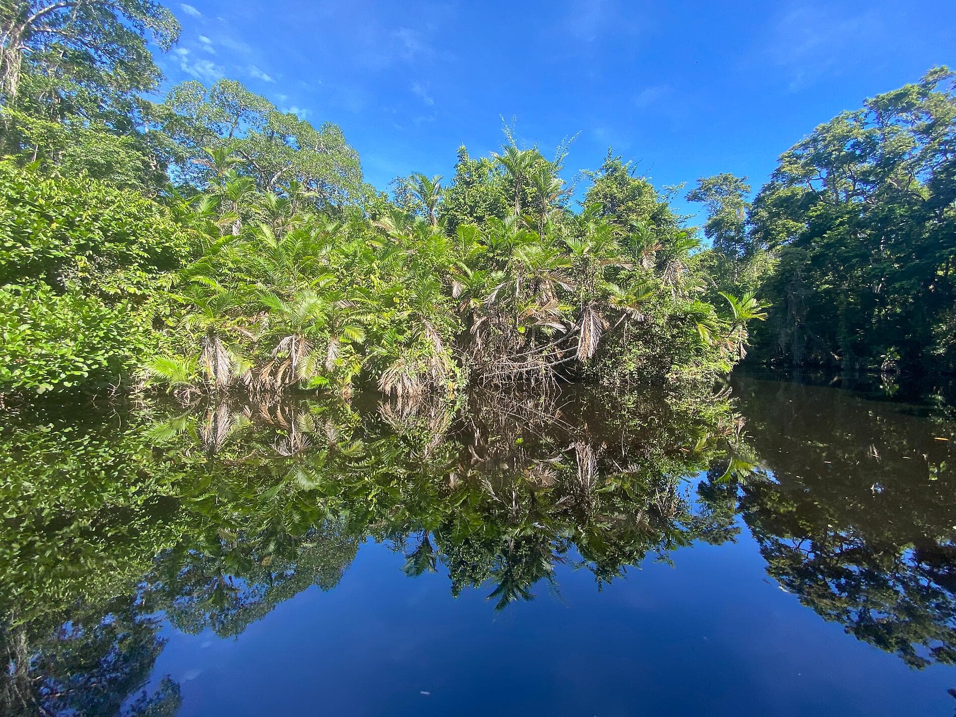 Natural sanctuaries & Caribbean encounters 
