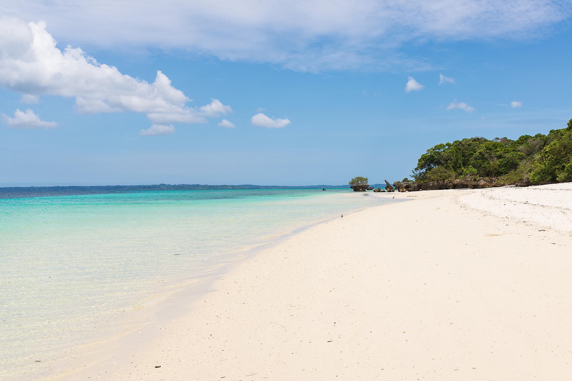 Zanzibar, Aldabra & the treasures of the Indian Ocean 