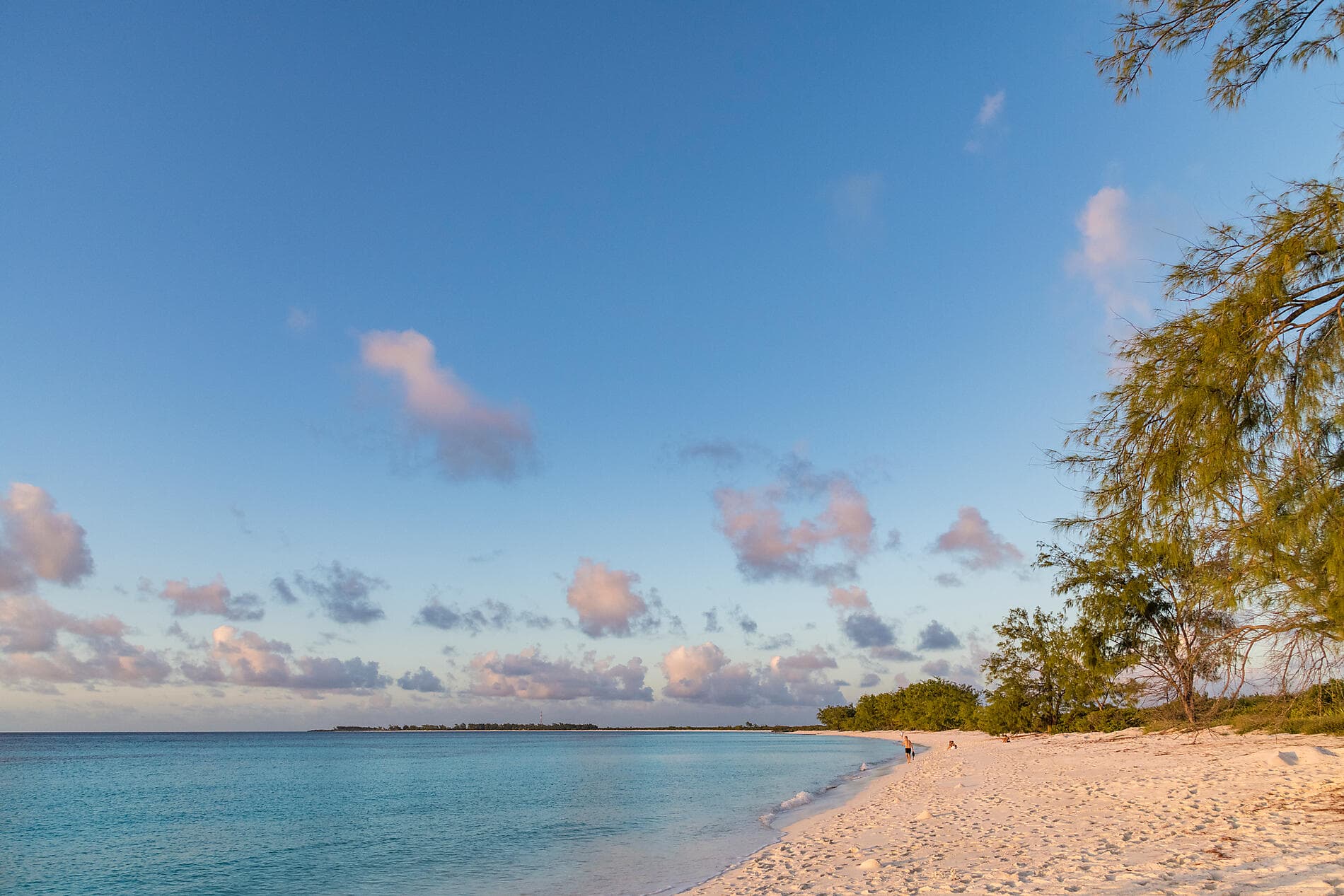Zanzibar, Aldabra & the treasures of the Indian Ocean 