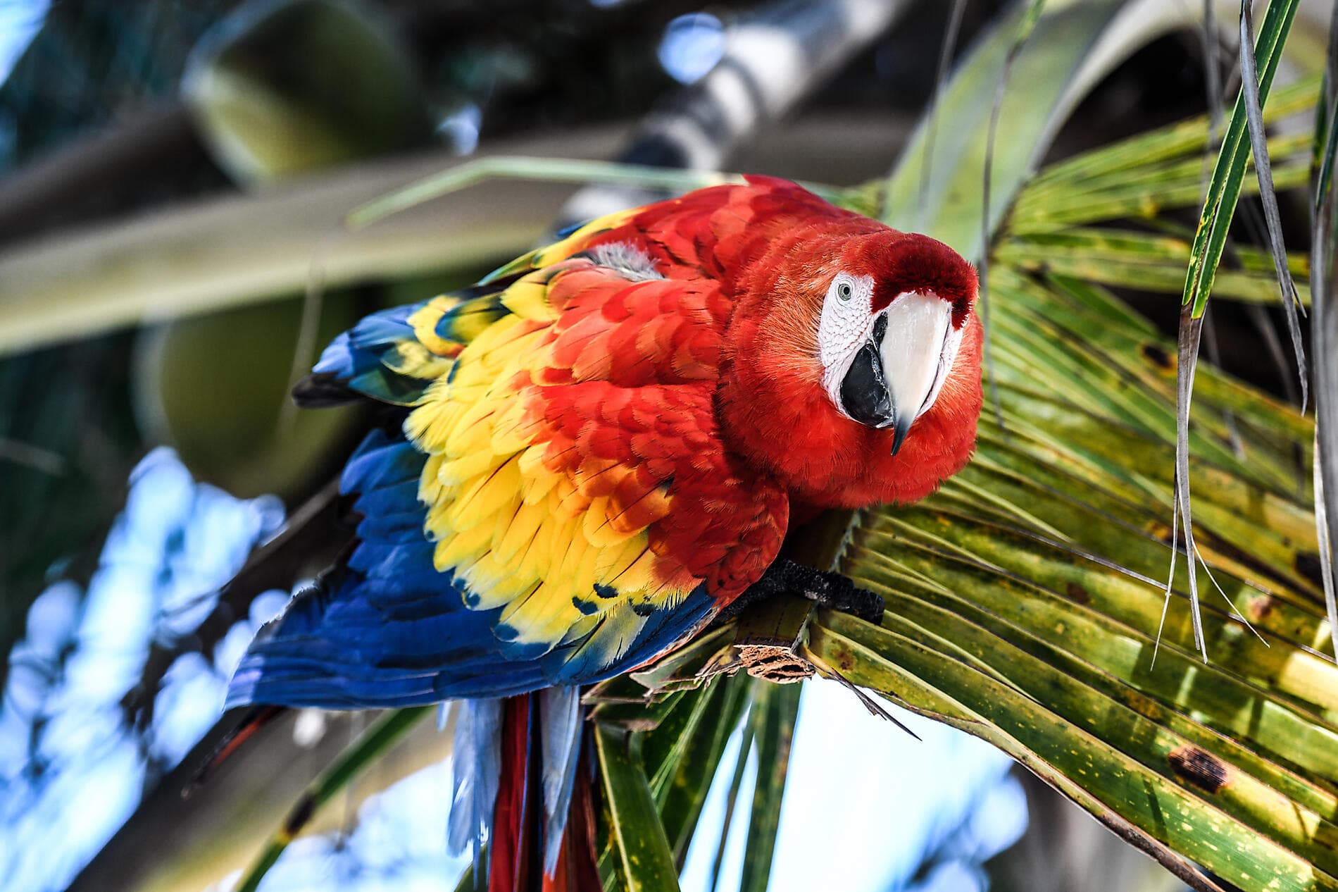 Natural sanctuaries & Caribbean encounters 