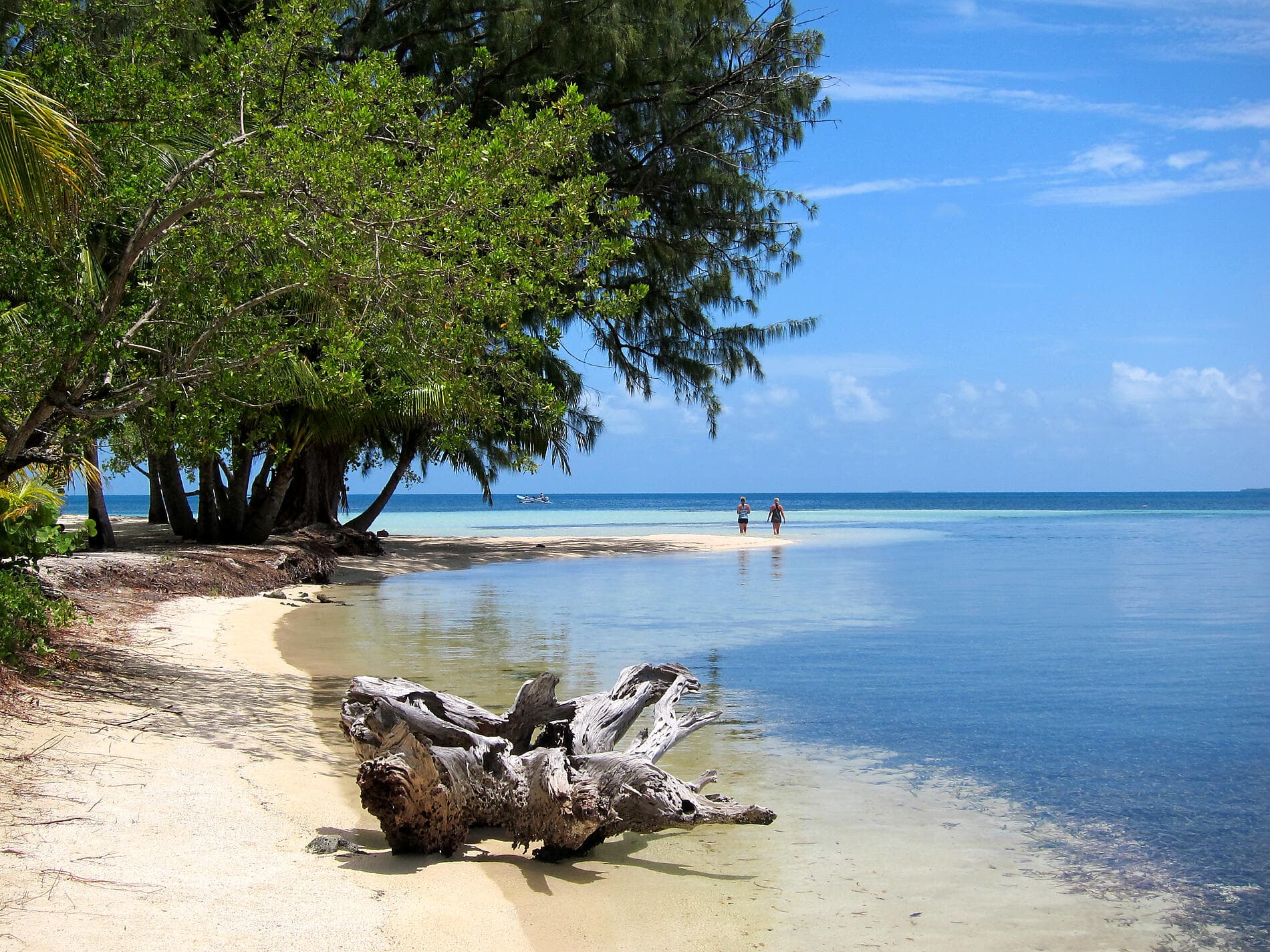 A Tropical Odyssey in Central America 
