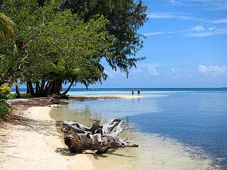 13 Jan 26 - Water Caye, Isla Utila